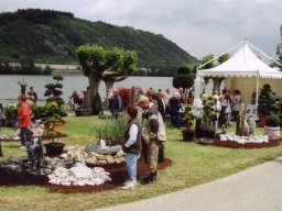 Ausstellungen