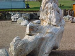 20080129_1003547408_fotos_ausstellung_085